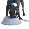K&H Pet Products Thermal-Bowl Plastic Dog & Cat Bowl, 32-oz -Cheap K&H Pet Products || Nutro Store 100526 MAIN. SY630 V1611766324