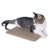 K&H Pet Products Extreme Weather Kitty Pad Petite 1 K&H Pet Products Extreme Weather Kitty Pad Petite -Cheap K&H Pet Products || Nutro Store 100528 MAIN. SY630 V1611766293