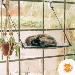 K&H Pet Products EZ Mount Cat Window Perch -Cheap K&H Pet Products || Nutro Store 100551 PT6. SY630 V1630731381