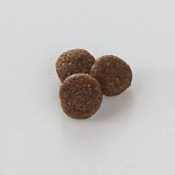 Nutro Limited Ingredient Diet Sensitive Support with Real Lamb & Sweet Potato Grain-Free Adult Dry Dog Food -Cheap K&H Pet Products || Nutro Store 109393 PT6. SY630 V1488552728