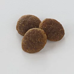 Nutro Limited Ingredient Diet Sensitive Support with Real Lamb & Sweet Potato Grain-Free Large Breed Adult Dry Dog Food -Cheap K&H Pet Products || Nutro Store 109402 PT6. SY630 V1488552994