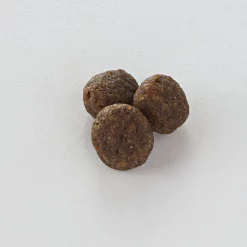 Nutro Limited Ingredient Diet Sensitive Support with Real Venison Meal & Sweet Potato Grain-Free Adult Dry Dog Food 12 Nutro Limited Ingredient Diet Sensitive Support with Real Venison Meal & Sweet Potato Grain-Free Adult Dry Dog Food -Cheap K&H Pet Products || Nutro Store 109406 PT6. SY630 V1488479686