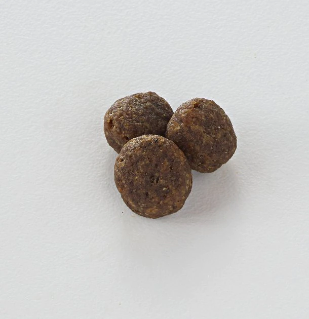 Nutro Limited Ingredient Diet Sensitive Support with Real Venison Meal & Sweet Potato Grain-Free Adult Dry Dog Food 5 Nutro Limited Ingredient Diet Sensitive Support with Real Venison Meal & Sweet Potato Grain-Free Adult Dry Dog Food - Image 3