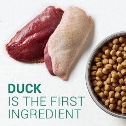 Nutro Limited Ingredient Diet Sensitive Support with Real Duck & Lentils Grain-Free Adult Dry Dog Food -Cheap K&H Pet Products || Nutro Store 109412 PT2. SY630 V1488479564