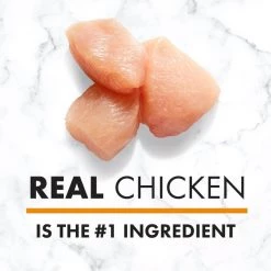 Nutro Natural Choice Small Bites Adult Chicken & Brown Rice Recipe Dry Dog Food -Cheap K&H Pet Products || Nutro Store 109418 PT3. SY630 V1611616893