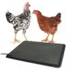 K&H Pet Products Thermo-Chicken Heated Pad -Cheap K&H Pet Products || Nutro Store 121214 MAIN. SY630 V1624628579