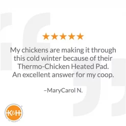 K&H Pet Products Thermo-Chicken Heated Pad -Cheap K&H Pet Products || Nutro Store 121214 PT4. SY630 V1624631904