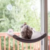 K&H Pet Products EZ Mount Window Scratcher Kitty Sill Cradle -Cheap K&H Pet Products || Nutro Store 121335 MAIN. SY630 V1620845275