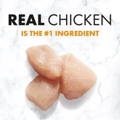 Nutro Mini Bites Roasted Chicken Flavor Dog Treats -Cheap K&H Pet Products || Nutro Store 143272 PT4. SY630 V1641263539