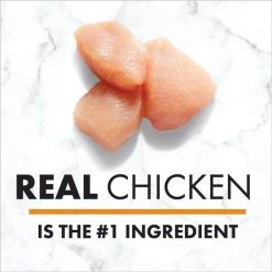 Nutro Grain-Free Slow Cooked Chicken Recipe Adult Pate Dog Food Trays -Cheap K&H Pet Products || Nutro Store 147155 PT4. SY630 V1626990127