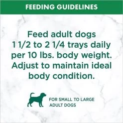 Nutro Grain-Free Tender Beef Recipe Adult Pate Dog Food Trays -Cheap K&H Pet Products || Nutro Store 147159 PT8. SY630 V1626990742