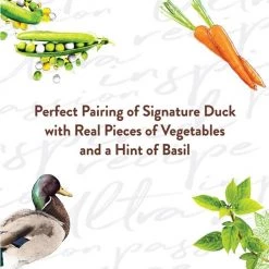 Nutro Ultra Grain-Free Filets in Gravy Signature Duck Entree Adult Wet Dog Food Trays -Cheap K&H Pet Products || Nutro Store 148880 PT4. SY630 V1619470695