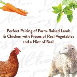 Nutro Ultra Grain-Free Filets in Gravy Decadent Duos Variety Pack Adult Wet Dog Food Trays -Cheap K&H Pet Products || Nutro Store 148894 PT4. SY630 V1619470409