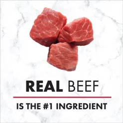 Nutro Hearty Stew Adult Chunky Beef, Tomato, Carrot & Pea Canned Dog Food -Cheap K&H Pet Products || Nutro Store 157096 PT4. SY630 V1626994281