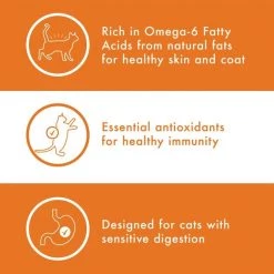 Nutro Wholesome Essentials Sensitive Cat Chicken, Rice & Peas Recipe Dry Cat Food -Cheap K&H Pet Products || Nutro Store 176457 PT3. SY630 V1561577982