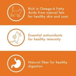 Nutro Wholesome Essentials Adult Chicken & Brown Rice Recipe Dry Cat Food -Cheap K&H Pet Products || Nutro Store 176460 PT3. SY630 V1561578087