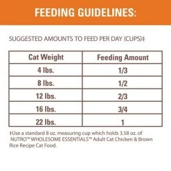 Nutro Wholesome Essentials Adult Chicken & Brown Rice Recipe Dry Cat Food -Cheap K&H Pet Products || Nutro Store 176460 PT8. SY630 V1561577959