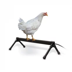 K&H Pet Products Thermo Chicken Perch, Black
