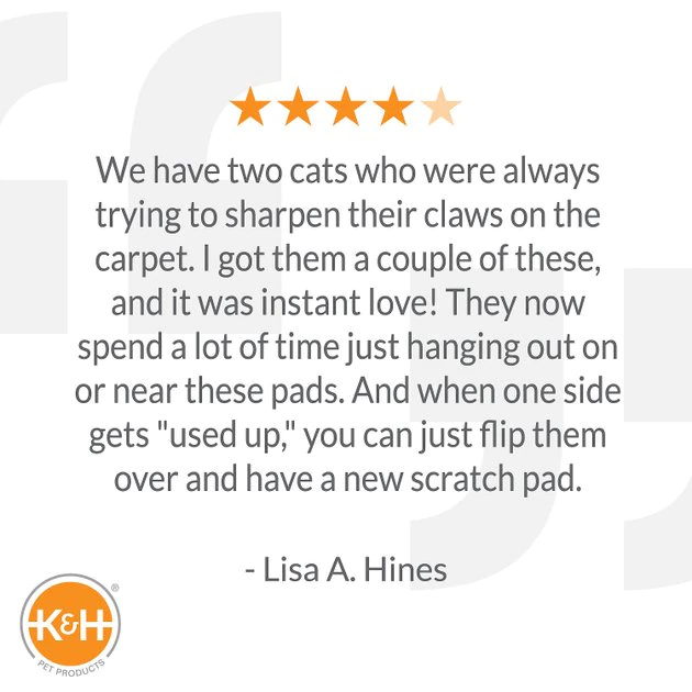 K&H Pet Products EZ Mount Window Cat Scratcher with Catnip 9 K&H Pet Products EZ Mount Window Cat Scratcher with Catnip - Image 7