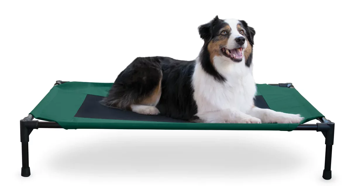 Cheap K&H Pet Products || Nutro Store -Cheap K&H Pet Products || Nutro Store 2 e1660707063669