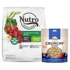 Nutro Natural Choice Healthy Weight Adult Lamb & Brown Rice Recipe Dry Food + Crunchy with Real Mixed Berries Dog Treats
