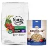 Nutro Natural Choice Small Bites Adult Lamb & Brown Rice Recipe Dry Food + Crunchy with Real Mixed Berries Dog Treats -Cheap K&H Pet Products || Nutro Store 293460 MAIN. SY630 V1620010631