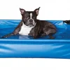 K&H Pet Products Dog Pool & Pet Bath -Cheap K&H Pet Products || Nutro Store 296512 MAIN. SY630 V1627943834