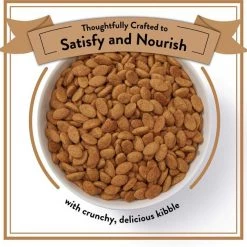 Nutro Ultra Variety Pack Turkey Entree & Chicken Entree Pate Food Trays with Toppers + Dry Dog Food -Cheap K&H Pet Products || Nutro Store 356871 PT7. SY630 V1640903799