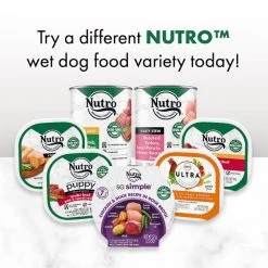 Nutro So Simple Meal Complement Chicken & Duck Recipe in Bone Broth Variety Pack Grain-Free Wet Dog Food Topper, 2-oz tray, case of 16 -Cheap K&H Pet Products || Nutro Store 363760 PT8. SY630 V1643151774