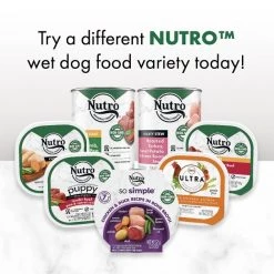 Nutro So Simple Meal Complement Chicken Recipe in Bone Broth Grain-Free Wet Dog Food Topper, 2-oz tray, case of 10 -Cheap K&H Pet Products || Nutro Store 363764 PT8. SY630 V1643152302