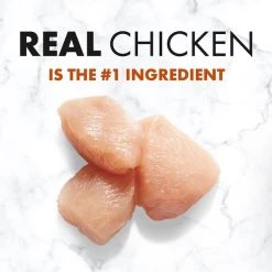 NUTRO SO SIMPLE Adult Chicken & Rice Recipe Natural Dry Dog Food -Cheap K&H Pet Products || Nutro Store 366846 PT2. SY630 V1643914675