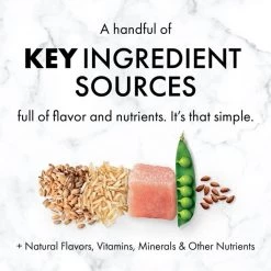 NUTRO SO SIMPLE Adult Chicken & Rice Recipe Natural Dry Dog Food -Cheap K&H Pet Products || Nutro Store 366846 PT8. SY630 V1643913704