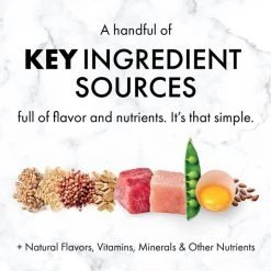 NUTRO SO SIMPLE Adult Beef & Rice Recipe Natural Dry Dog Food -Cheap K&H Pet Products || Nutro Store 366850 PT8. SY630 V1643912270