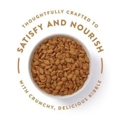 Nutro Ultra Adult Dry Dog Food -Cheap K&H Pet Products || Nutro Store 49621 PT3. SY630 V1642471912