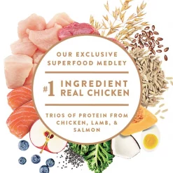 Nutro Ultra Senior Dry Dog Food -Cheap K&H Pet Products || Nutro Store 49629 PT4. SY630 V1642464702