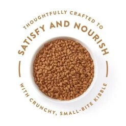 Nutro Ultra Toy Breed Adult Dry Dog Food -Cheap K&H Pet Products || Nutro Store 52076 PT3. SY630 V1642462287