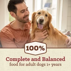 Nutro Max Adult Farm-Raised Beef Recipe Natural Dry Dog Food, 25-lb bag -Cheap K&H Pet Products || Nutro Store 569542 PT2. SY630 V1658189704