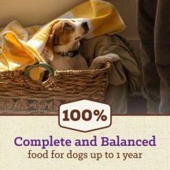 Nutro Max Puppy Farm-Raised Chicken Recipe Natural Dry Dog Food, 12-lb bag -Cheap K&H Pet Products || Nutro Store 569574 PT2. SY630 V1658188943