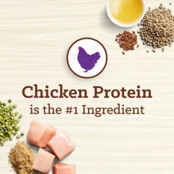 Nutro Max Puppy Farm-Raised Chicken Recipe Natural Dry Dog Food, 12-lb bag -Cheap K&H Pet Products || Nutro Store 569574 PT4. SY630 V1658219977