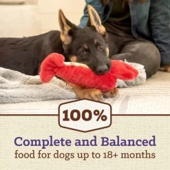 Nutro Max Large Breed Puppy Farm-Raised Chicken Recipe Natural Dry Dog Food, 25-lb bag -Cheap K&H Pet Products || Nutro Store 569590 PT2. SY630 V1658188641