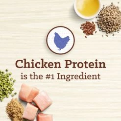 Nutro Max Large Breed Puppy Farm-Raised Chicken Recipe Natural Dry Dog Food, 25-lb bag -Cheap K&H Pet Products || Nutro Store 569590 PT4. SY630 V1658212746