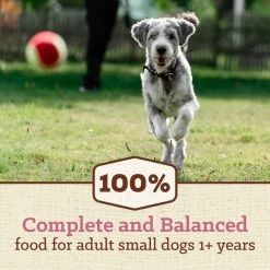 Nutro Max Mini Chunks Adult Farm-Raised Chicken Recipe Natural Dry Dog Food -Cheap K&H Pet Products || Nutro Store 569622 PT2. SY630 V1658194661