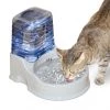 K&H Pet Products CleanFlow Filtered Water Dog Bowl, Small, 80-oz Bowl + 90-oz Reservoir -Cheap K&H Pet Products || Nutro Store 61705 MAIN. SY630 V1637628248