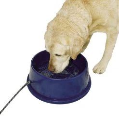 K&H Pet Products Thermal-Bowl Plastic Dog & Cat Bowl, 96-oz