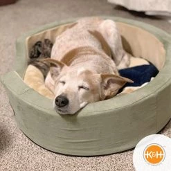 K&H Pet Products Thermo-Snuggly Sleeper Bolster Cat & Dog Bed, Sage 15 K&H Pet Products Thermo-Snuggly Sleeper Bolster Cat & Dog Bed, Sage -Cheap K&H Pet Products || Nutro Store 72233 PT4. SY630 V1649454388
