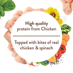 Nutro Ultra Grain-Free Chicken Entree Pate with Toppers Adult Wet Dog Food Trays -Cheap K&H Pet Products || Nutro Store 84677 PT8. SY630 V1561142080