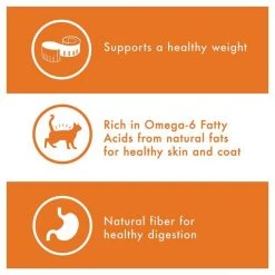 Nutro Wholesome Essentials Indoor Chicken & Brown Rice Recipe Adult Dry Cat Food -Cheap K&H Pet Products || Nutro Store 86710 PT4. SY630 V1559676433