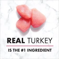 Nutro Premium Loaf Turkey, Sweet Potato & Green Bean Grain-Free Canned Dog Food -Cheap K&H Pet Products || Nutro Store 86736 PT4. SY630 V1626991308