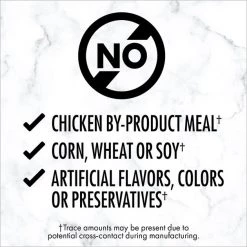 Nutro Premium Loaf Turkey, Sweet Potato & Green Bean Grain-Free Canned Dog Food -Cheap K&H Pet Products || Nutro Store 86736 PT5. SY630 V1626993398