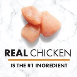 Nutro Hearty Stew Tender Chicken, Carrot & Pea Stew Grain-Free Canned Dog Food -Cheap K&H Pet Products || Nutro Store 86742 PT4. SY630 V1626995211